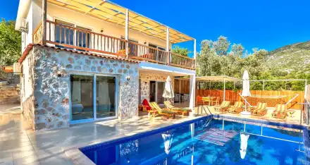 Villa Çınar