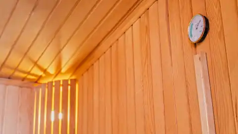 Extralar
